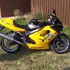 RG Crash Protectors for Triumph TT 600